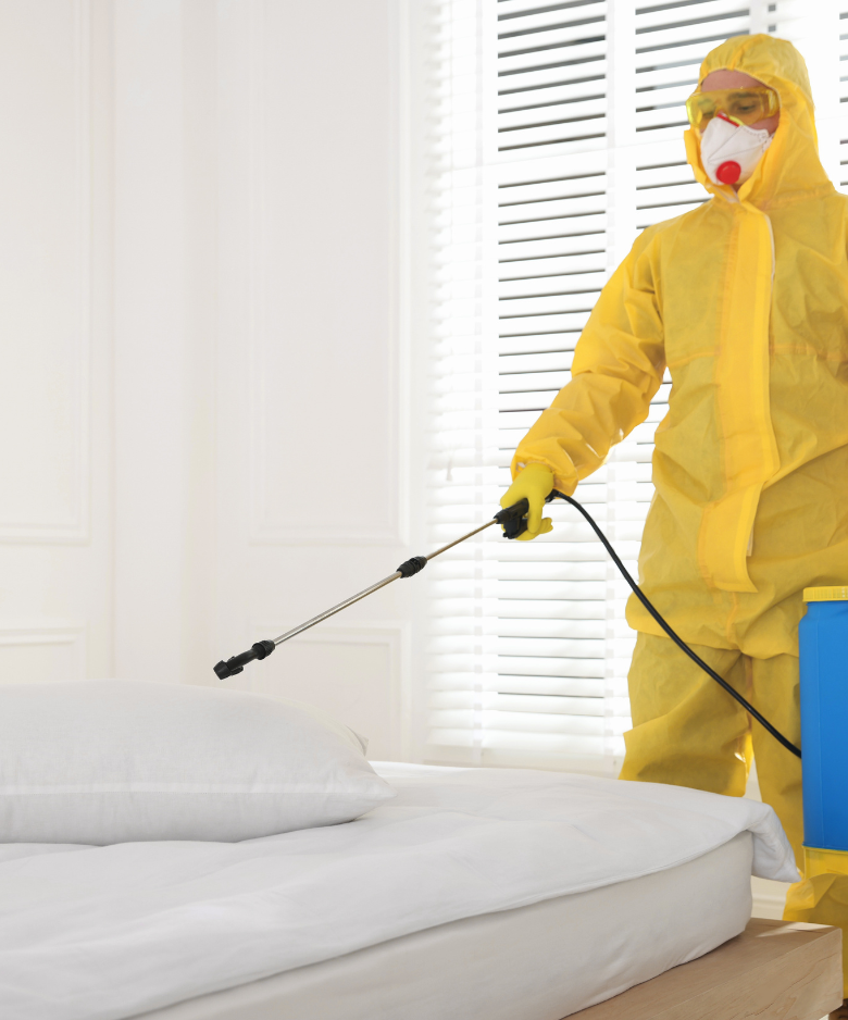 Professional Pest Control Team in Valley View